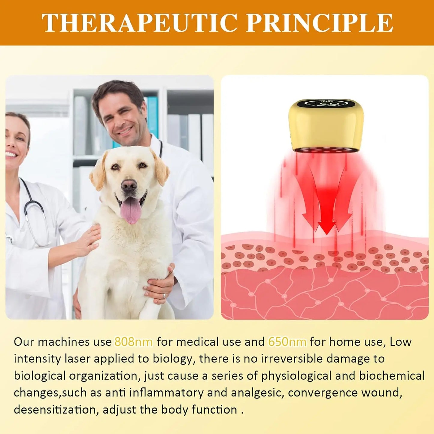 Laser Therapy for Pets 2x808 nm Tens Infrared Red Light Therapy Device for Dogs Tendons Soft Tissue Ligament Injuries&PainRelief