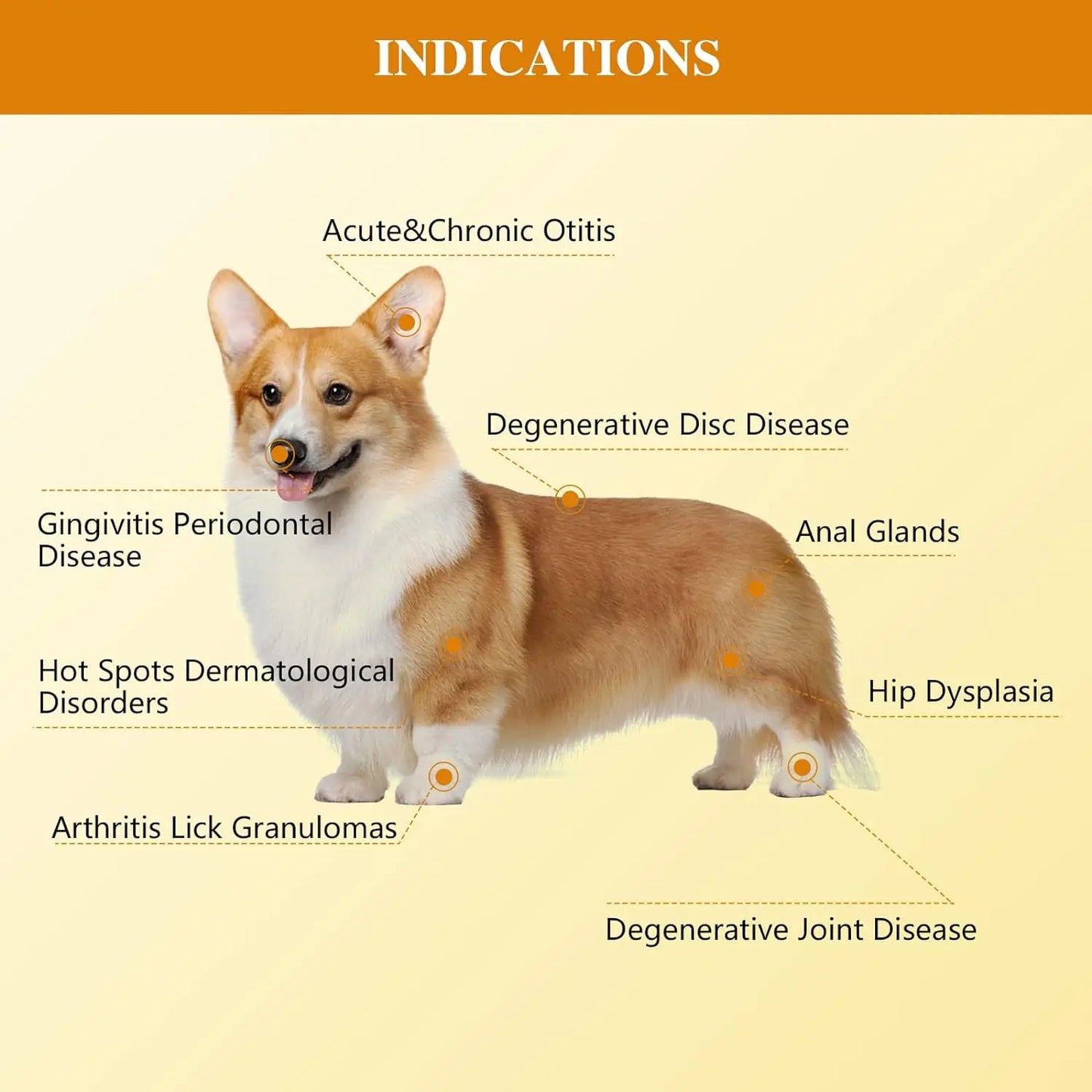Laser Therapy for Pets 2x808 nm Tens Infrared Red Light Therapy Device for Dogs Tendons Soft Tissue Ligament Injuries&PainRelief